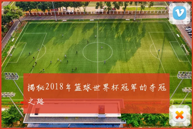 揭秘2018年篮球世界杯冠军的夺冠之路