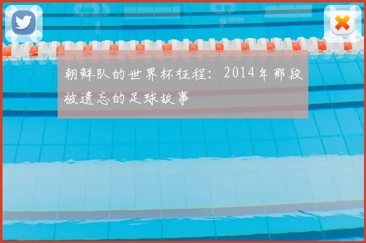 朝鲜队的世界杯征程：2014年那段被遗忘的足球故事