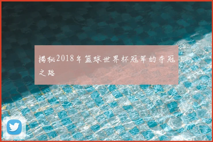 揭秘2018年篮球世界杯冠军的夺冠之路