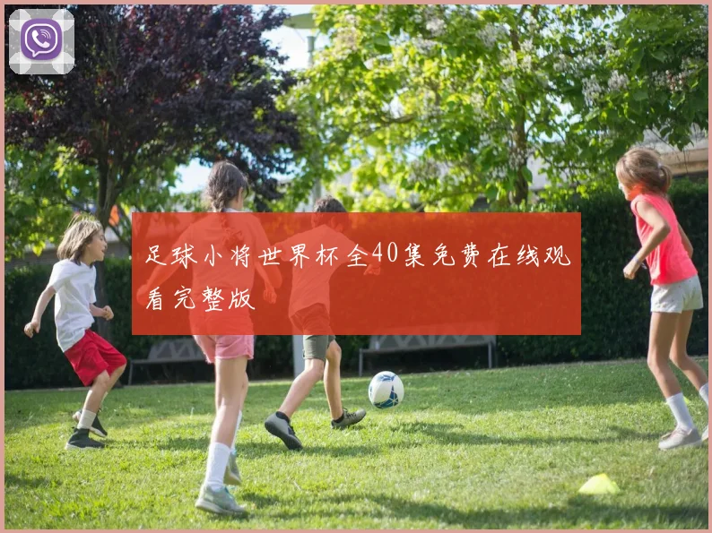 足球小将世界杯全40集免费在线观看完整版